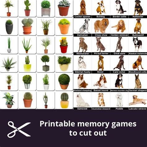 We have exciting puzzles to memory games such as color memory, sudoku, solitaire, chat noir and. Printable matching games seniors - Print & cut | Memozor