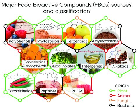 Major Food Bioactive Compounds Fbcs Sources And Classification An