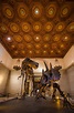 Natural History Museum of Los Angeles County Review & Tips - Travel ...