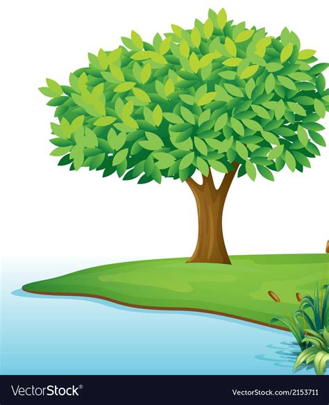 A Tree Near The Body Of Water Royalty Free Vector Image