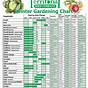 Vegetable Seed Germination Time Chart