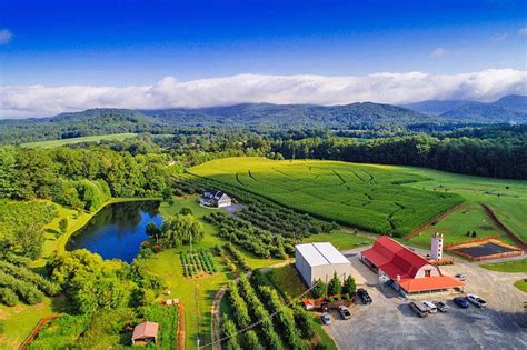 Maybe you would like to learn more about one of these? 12 Top-Rated Things to Do in Hendersonville, NC ...