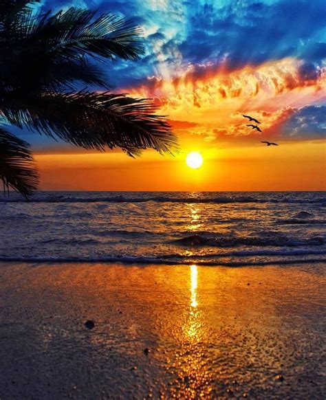 Download Sunset Wallpaper By Ovy81 1a Free On Zedge Now Browse