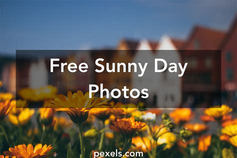 1000 Great Sunny Day Photos · Pexels · Free Stock Photos