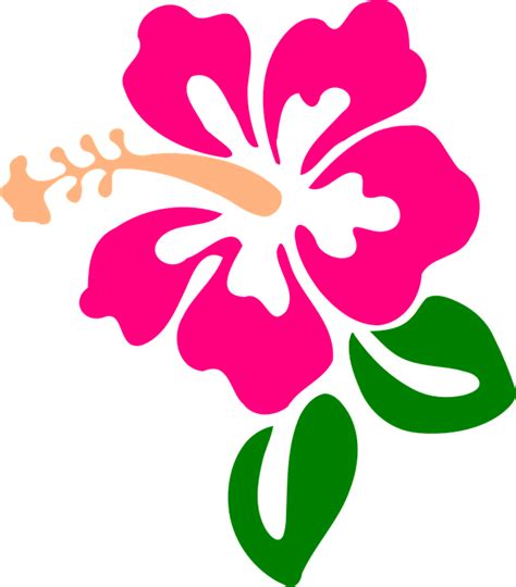 Hibiscus svg, Download Hibiscus svg for free 2019