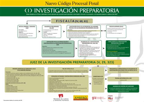 Red De Reforma Procesal Penal Flujogramas Del Nuevo Proceso Penal