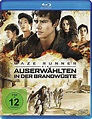 Maze Runner 2 - Die Auserwählten in der Brandwüste Film | Weltbild.de
