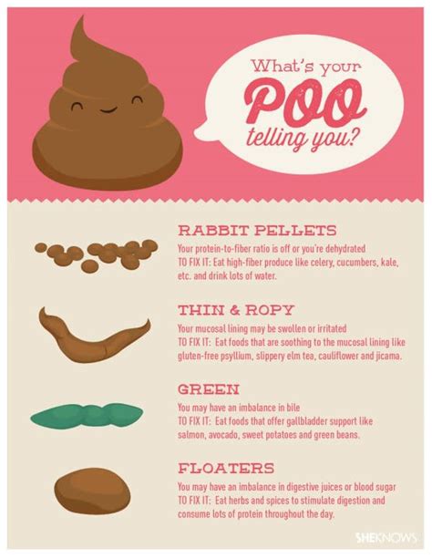 What Does Your Poop Tell You About Your Body And Your Health