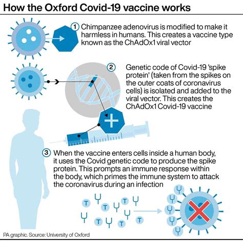 Protection of over 70% starting after a first dose. Covid-19 vaccine from Oxford University and AstraZeneca ...