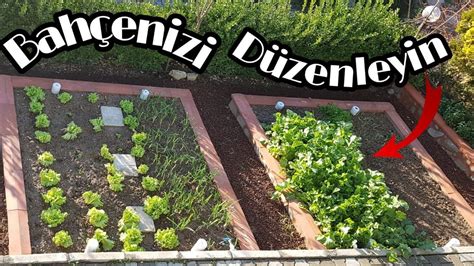 Sebze Bahçesi Nasıl Yapılır Bahçenizi Bizimle Düzenleyin Şehirden Köye Dönüş 3 Youtube