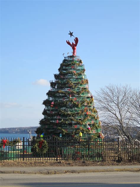 Christmas Tree Rockland Maine Constructed With Lobster Traps Maine