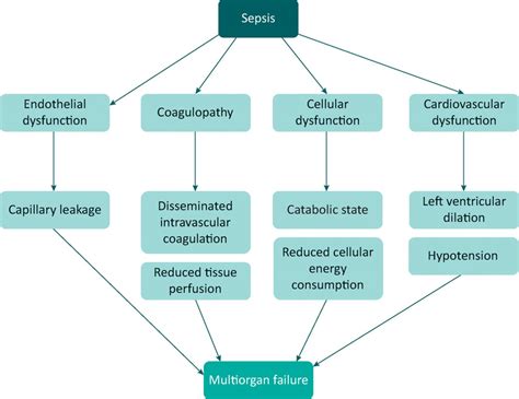 Sepsis Pathophysiology Flowchart