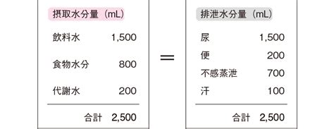 体液の量はどこで調節されているの？｜看護roo カンゴルー