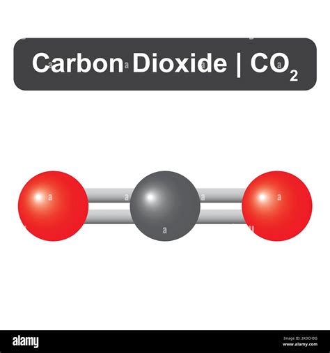 Molecular Model Of Carbon Dioxide Co2 Molecule Vector Illustration