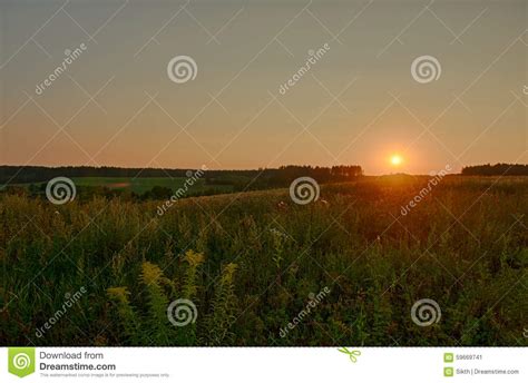 Beautiful Summer Sunset In Countryside Stock Image Image Of