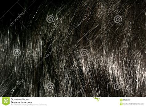 Dark Brown Hair Texture Stock Image Image Of Fashion 61565383