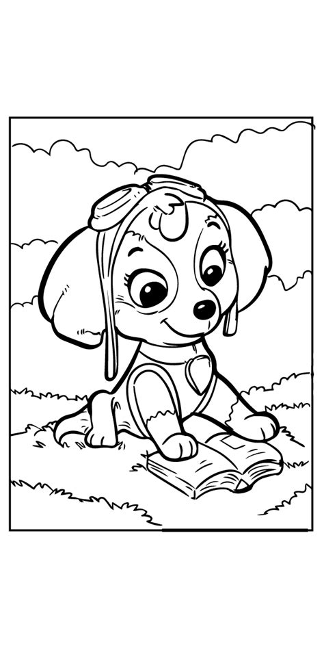 Summer Paw Patrol Rubble And Skye Coloring Page Free Printable