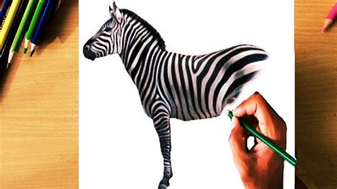 How To Draw A Realistic Zebra By Colour Pencil Step By Step Zebra