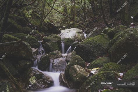 Japan Yakushima Waterfall In The Rainforest — Outdoor Rocky Stock