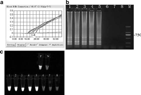 LAMP Reaction Performed Using Different Instruments A Turbidity Curve