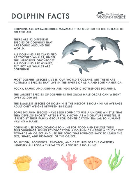 10 Dolphin Facts For Kids Free Printable Trivia Activ