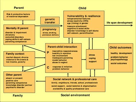 A Developmental Model Of Transgenerational Transmission Of