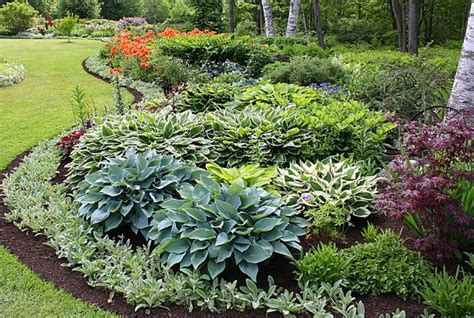 Garden With Flower Bed Using Hostas Hosta Outdoor Plants For Your
