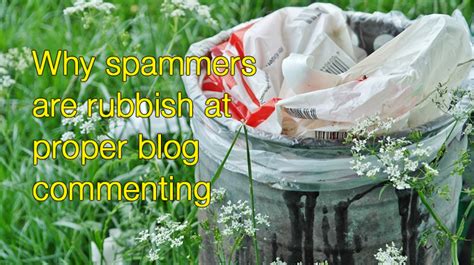 Why Spammers Are Rubbish At Proper Blog Commenting Fairy Blog Mother