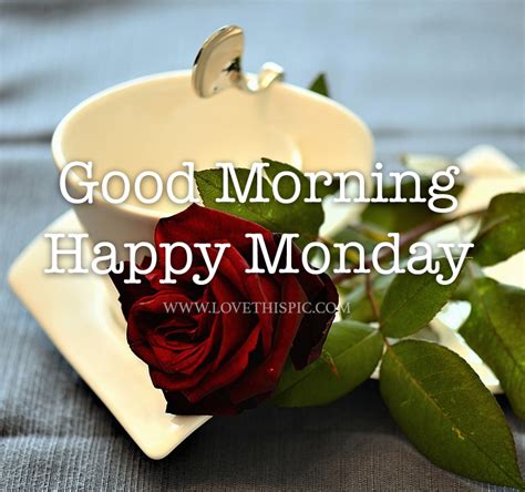 Rose And Coffee Cup Happy Monday Good Morning Pictures Photos And