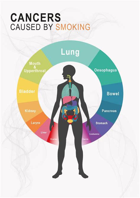 Smoking Causes Cancer Facts