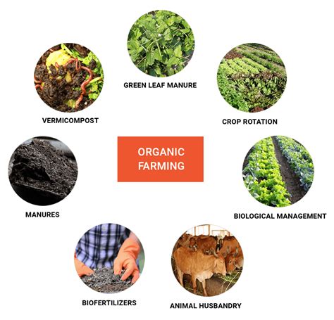 Organic Farming Swarajyanow