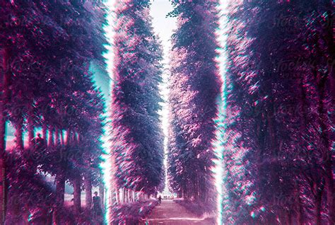 Surreal And Psychedelic Passage Through Purple Forest By Hayden