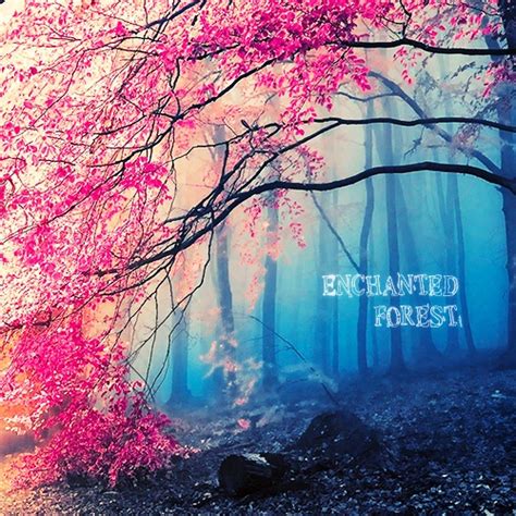 8tracks Radio Enchanted Forest 17 Songs Free And Music Playlist