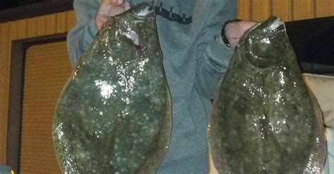 Seminar on flounder gigging set Monday night