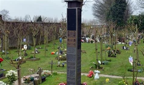 Check spelling or type a new query. Freddie Mercury (Queen) - biography, photos, facts ...