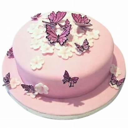 Cake Butterflies Flowers Birthday Cakes Butterfly York
