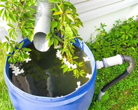 Save Water And Money With Rain Barrels