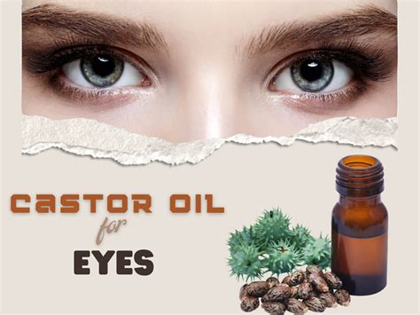 Is Castor Oil Beneficial For The Eyes Styles At Life