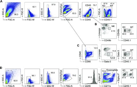 Fig E5 Flow Cytometry Gating Strategy Of Lung Infiltrating Cells In