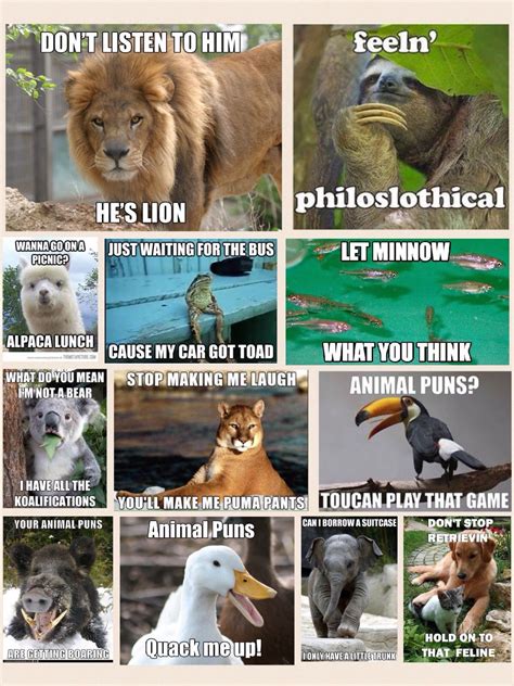 All Animal Puns