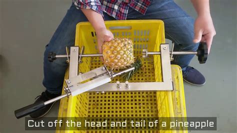 Pineapple Peeling Machine Youtube