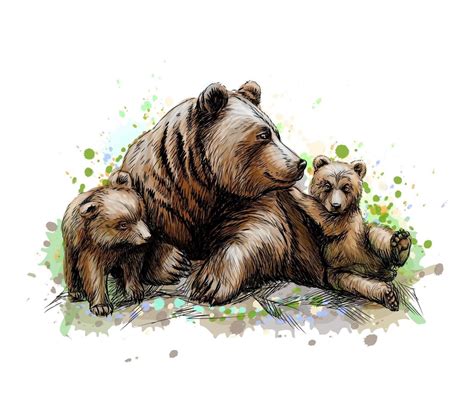 brown mother bear with her cubs from a splash of watercolor hand drawn sketch vector