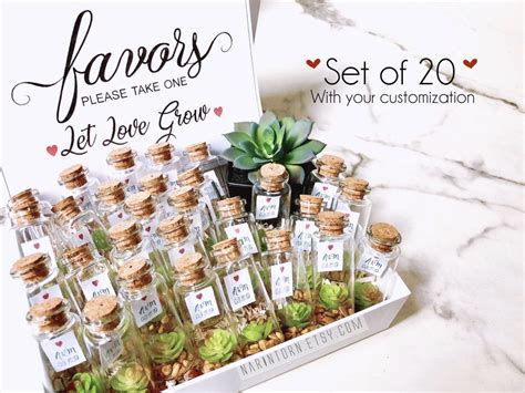 We did not find results for: Succulent Wedding Favors Thank you Gift for Guests Ideas ...