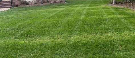 Lime For Lawns When And How To Lime Your Lawn
