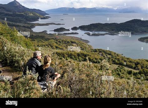 Wulaia Bay Navarino Island Tierra Del Fuego Patagonia Chile South