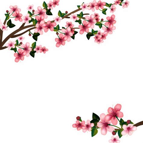 Download Japanese Flowering Cherry Image HD Image Free PNG HQ PNG Image gambar png
