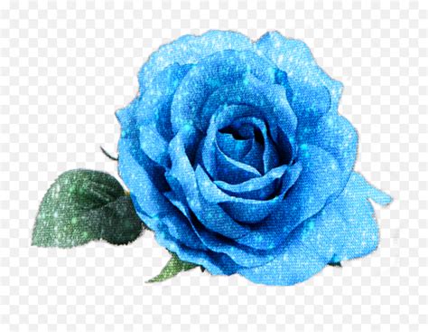 Blue Rose Flower Sticker By Lily Anna Blue Roses Psd Emojiblue Rose