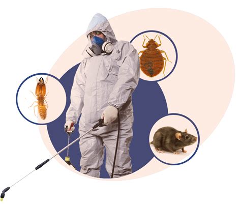Commercial Pest Control Services Protect Your Business