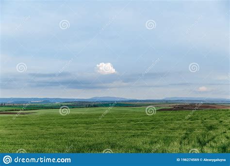Green Field And Sky With Clouds Grass In Spring Agricultural Cereal