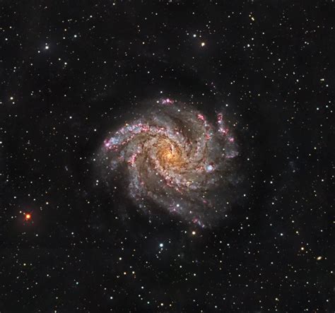 Ngc 6946 Aka The Fireworks Galaxy Telescope Live